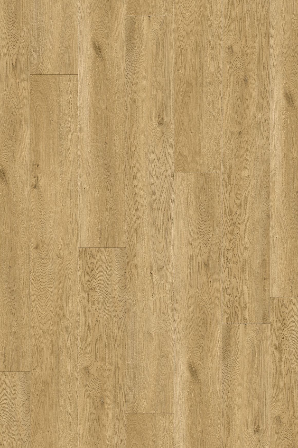 Kingswood 1.2 | Classic Oak