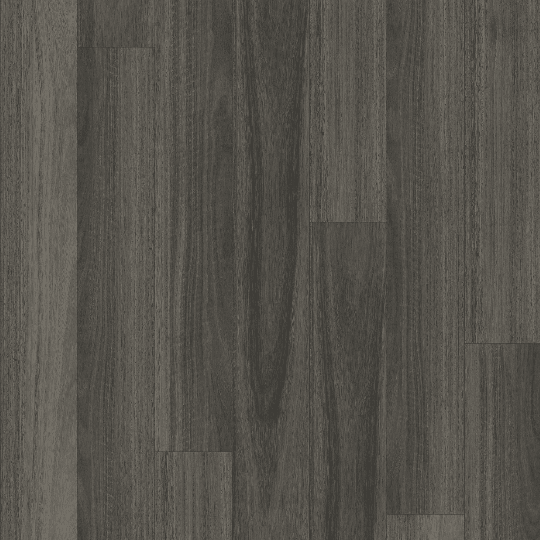 Kingswood Australis | Ancient Gum