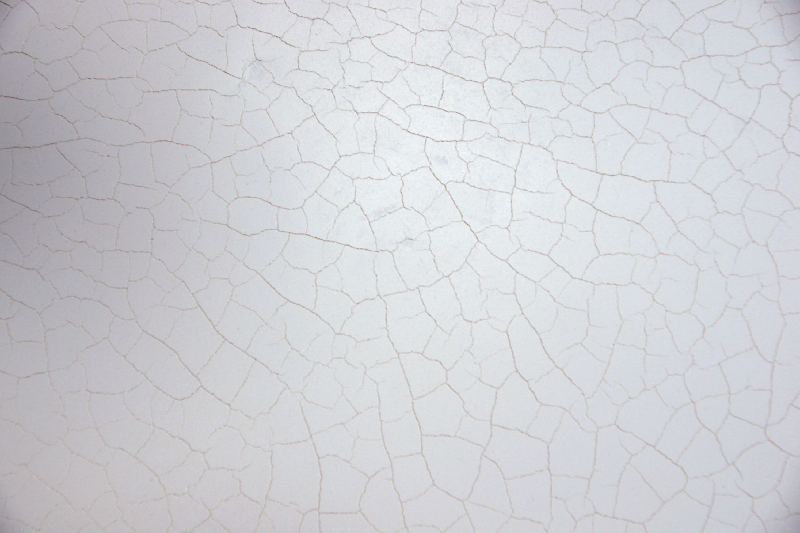 Bone China Polished Plaster