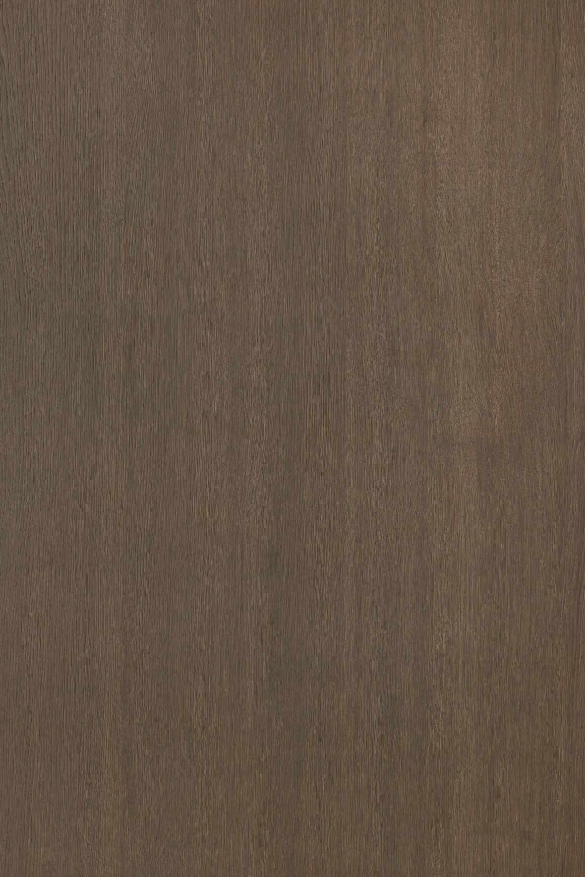 Alor Ochre Oak 1F1B 3050mm Veneer Panel