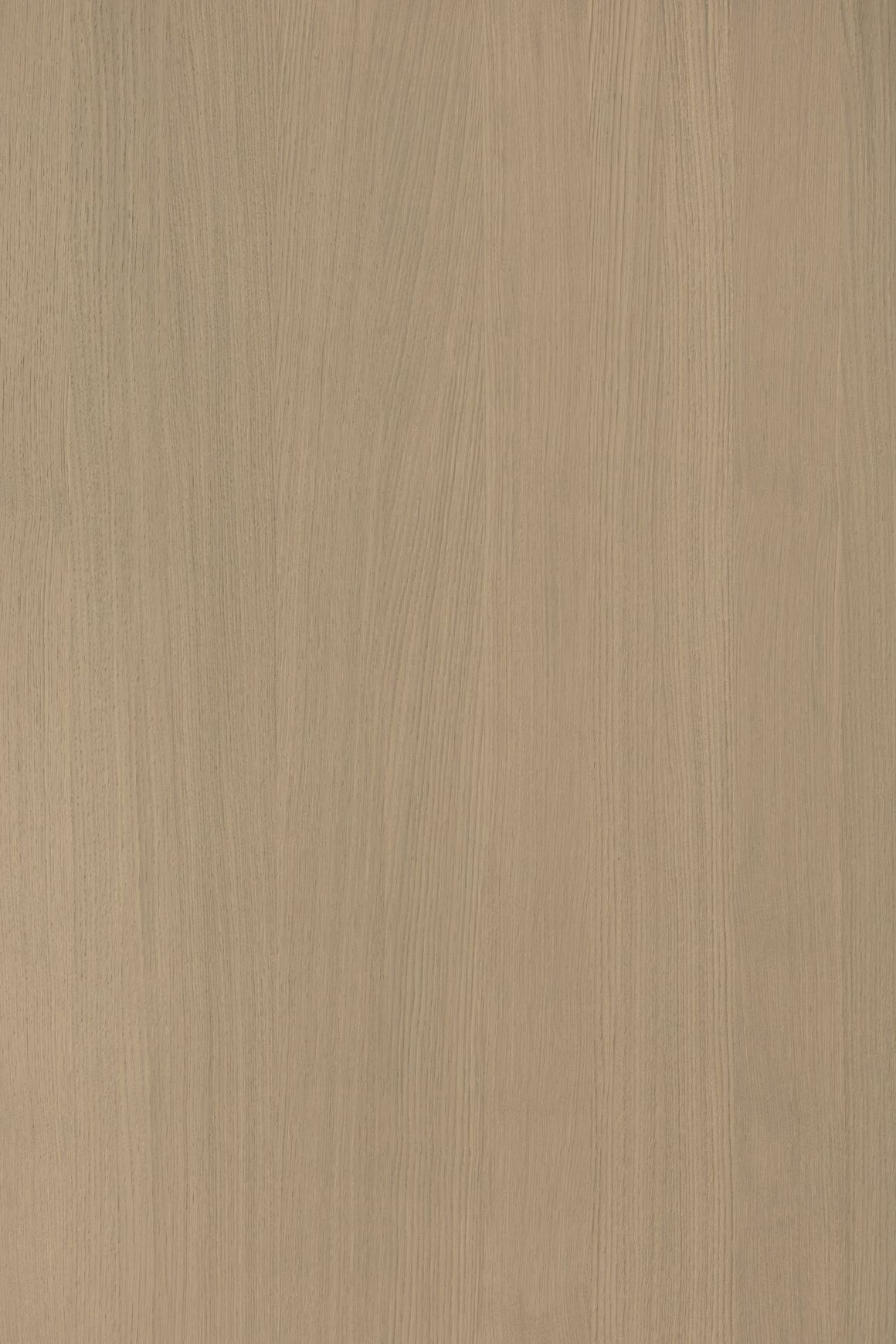 Alor Solis Oak 1F1B 2440mm Veneer Panel
