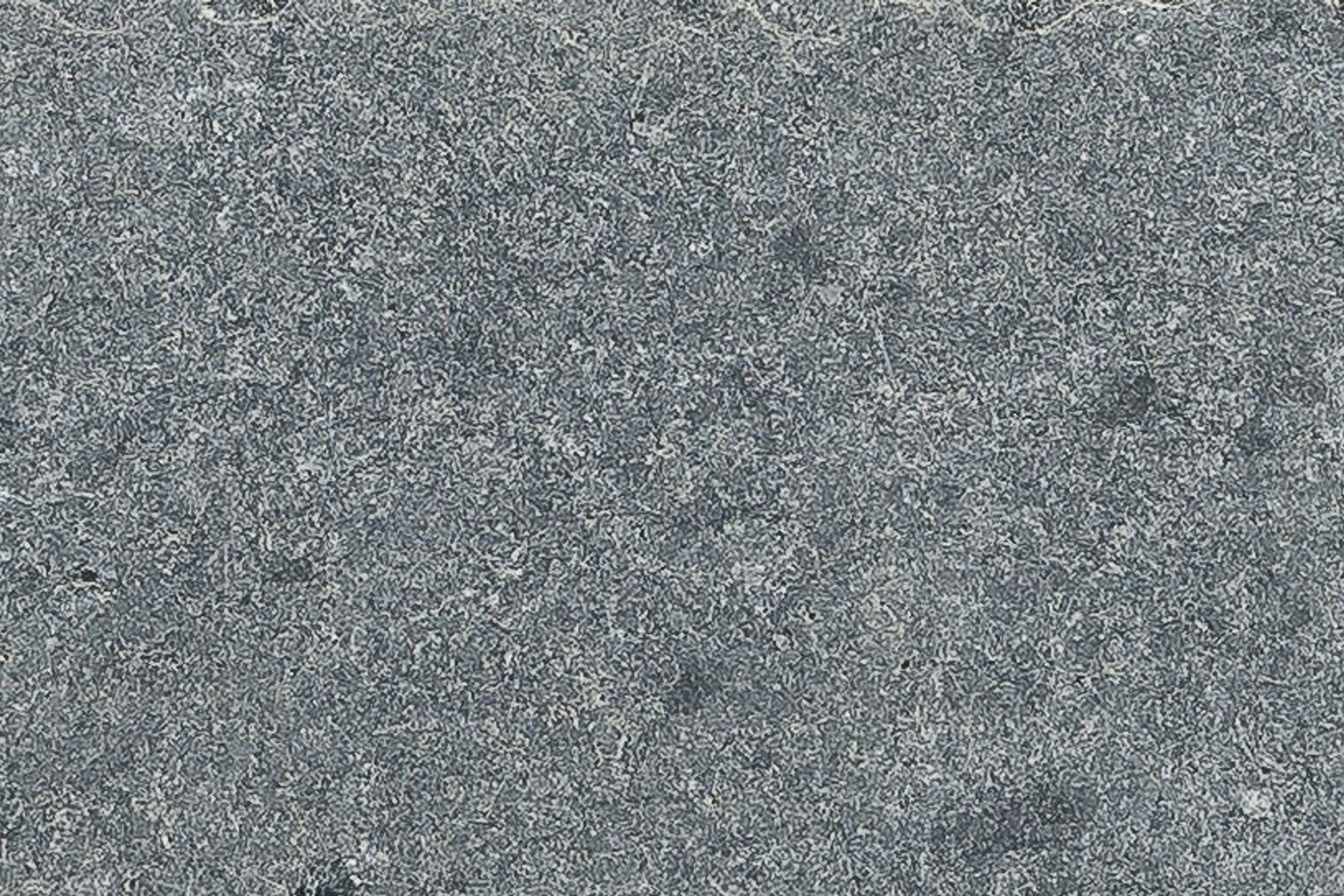 Bluestone Paver