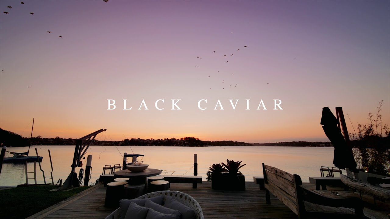 'Black Caviar' 139a Stuart Street, Blakehurst video