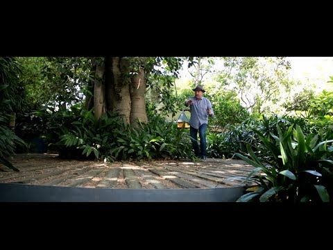 The New Australian Garden - Bower Bird video
