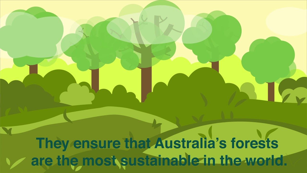 Responsible Wood launches 'Package It' campaign