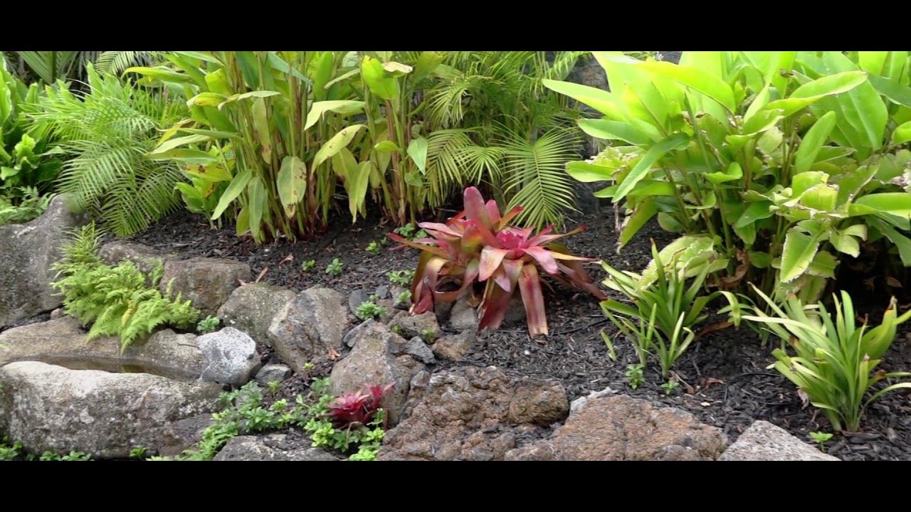 Hawaiian Landscape
