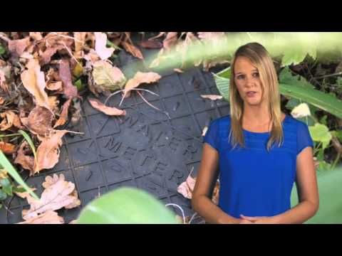 Rheem Interactive - Low Pressure