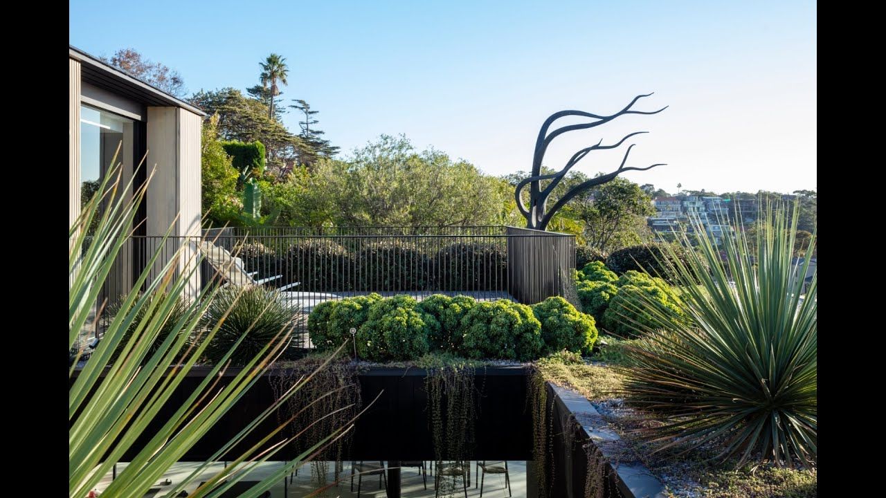 Sub Tropical Pleasure Grounds - A Garden Tour by Drone of a Michael Bates designed garden in Sydney video