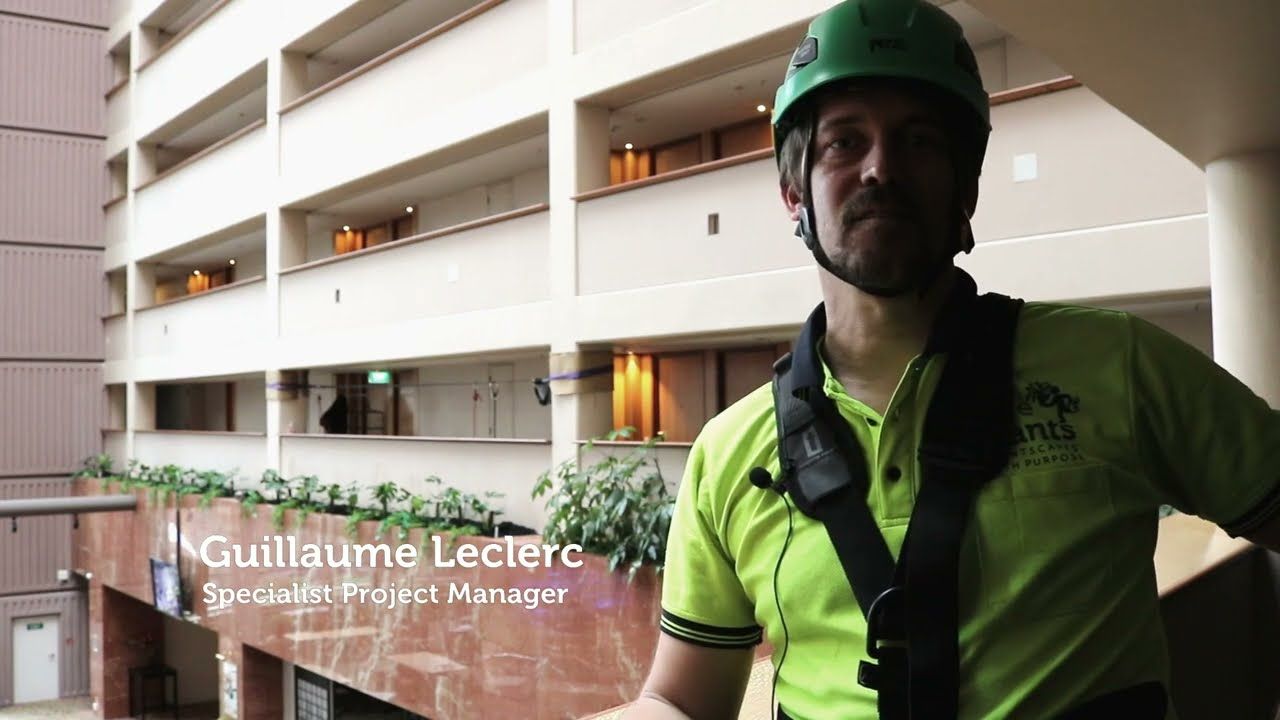 Grand Millennium Hotel Auckland - replanting at height video
