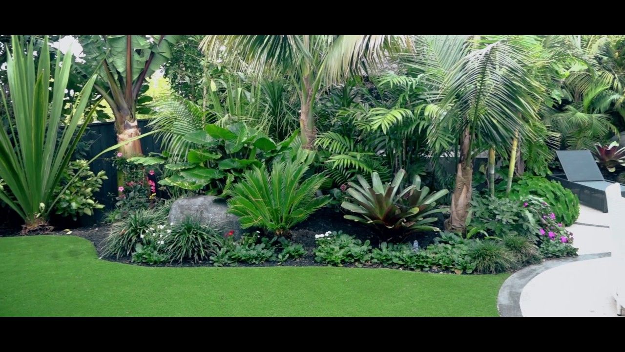 Tropical Delight video