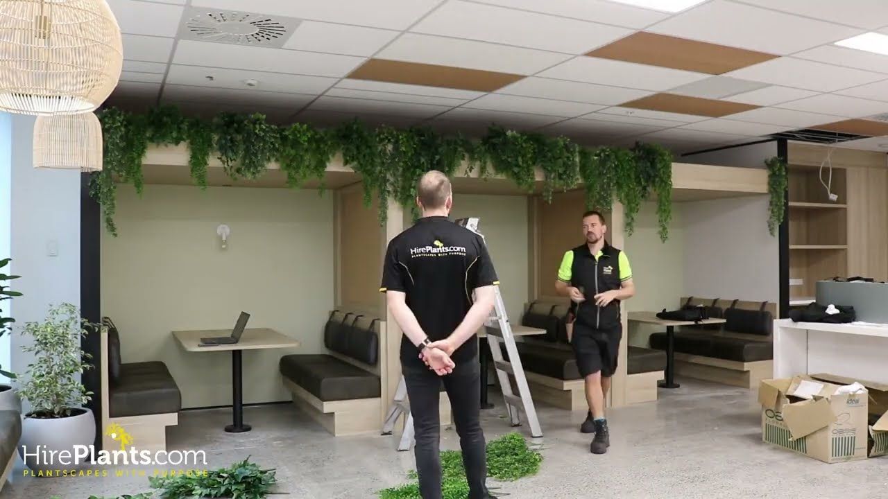 T&G Global - Artificial Plant Installation video