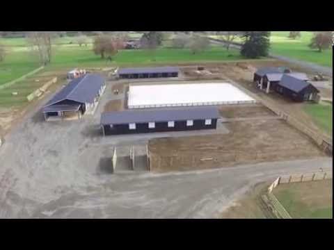 Waikato Equine Veterinary Centre video