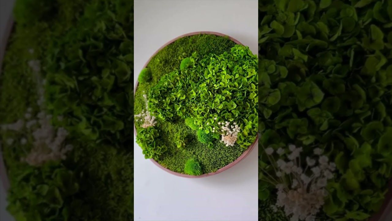 Horten Moss Wall Art