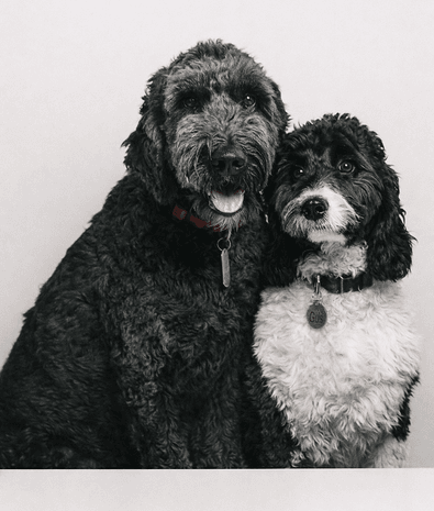 Boomer and Gus