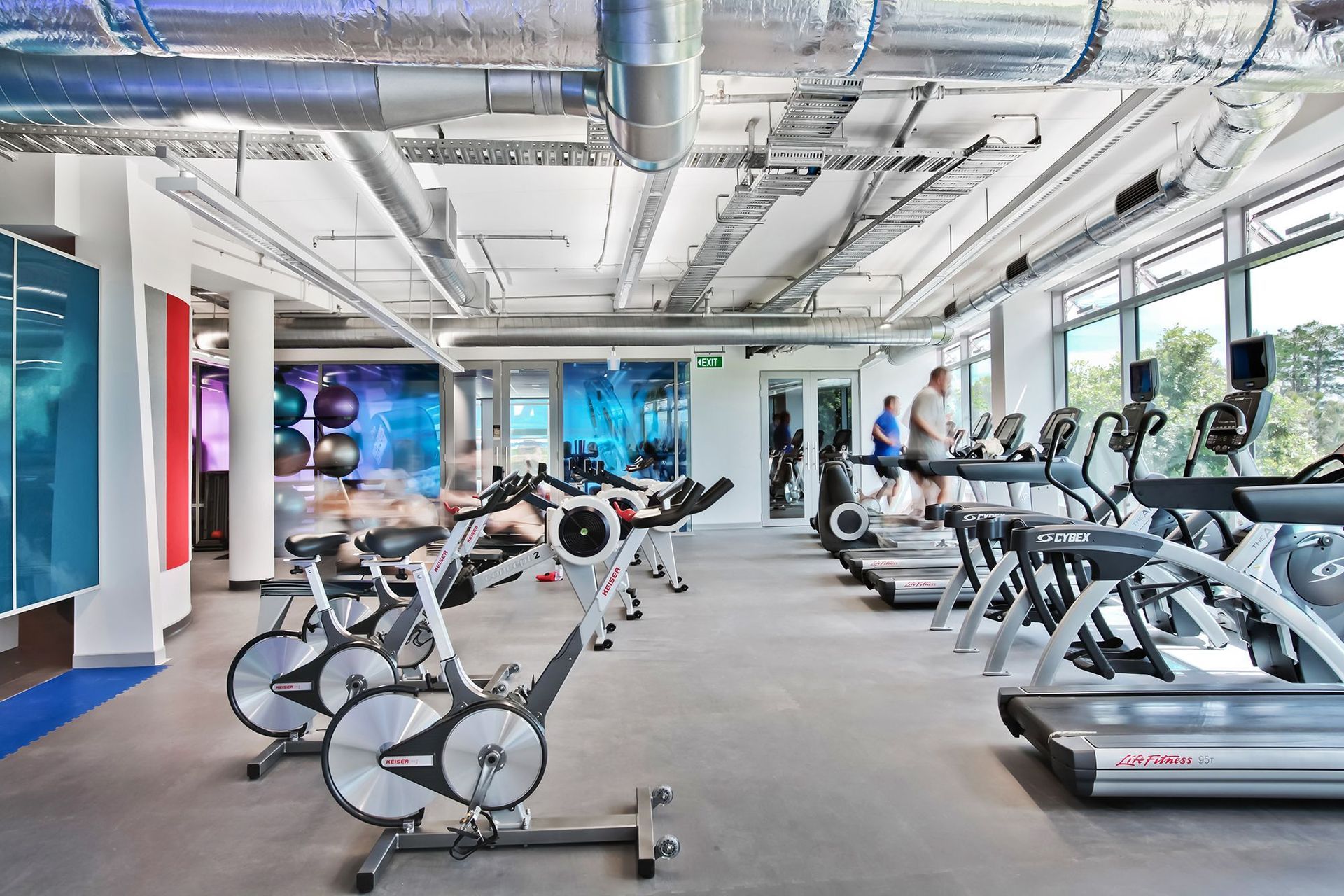 Millennium Gym