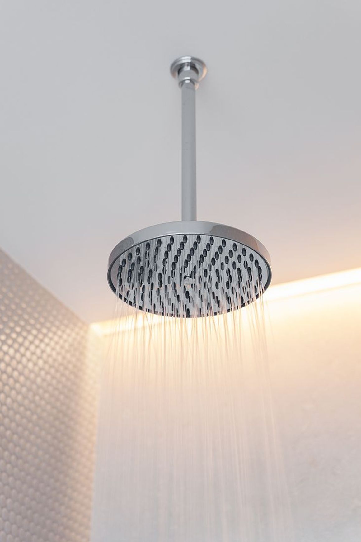 Perrin & Rowe Contemporary Discus Shower Rose