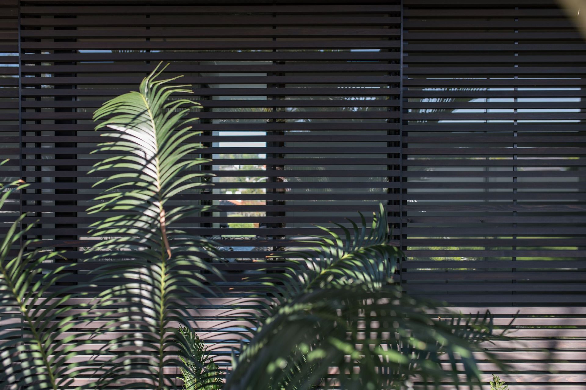Remuera House