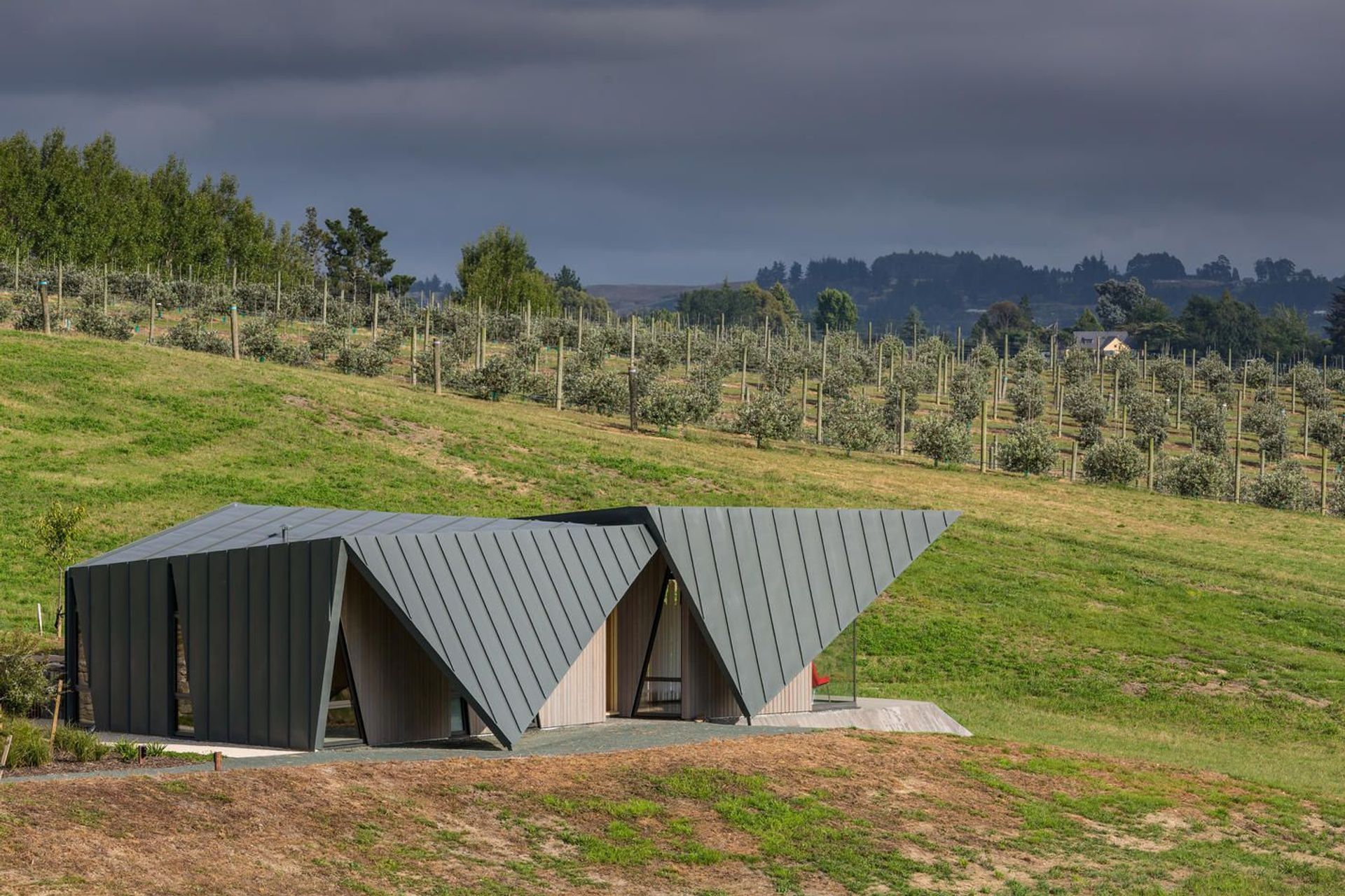 TOREA STUDIO