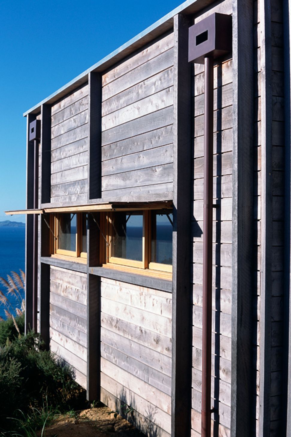 Coromandel Bach