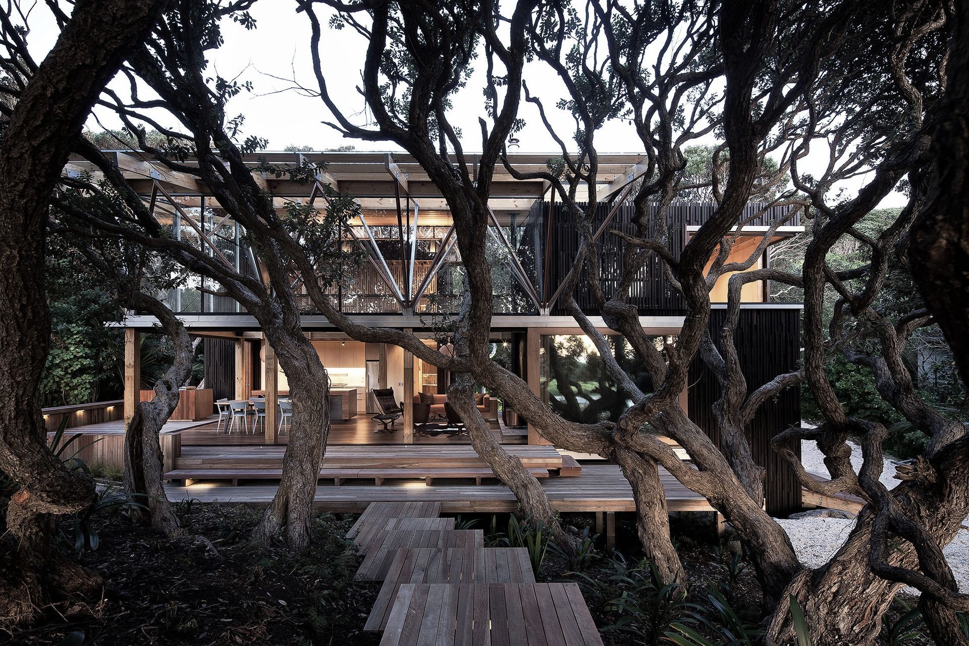 Under Pohutukawa