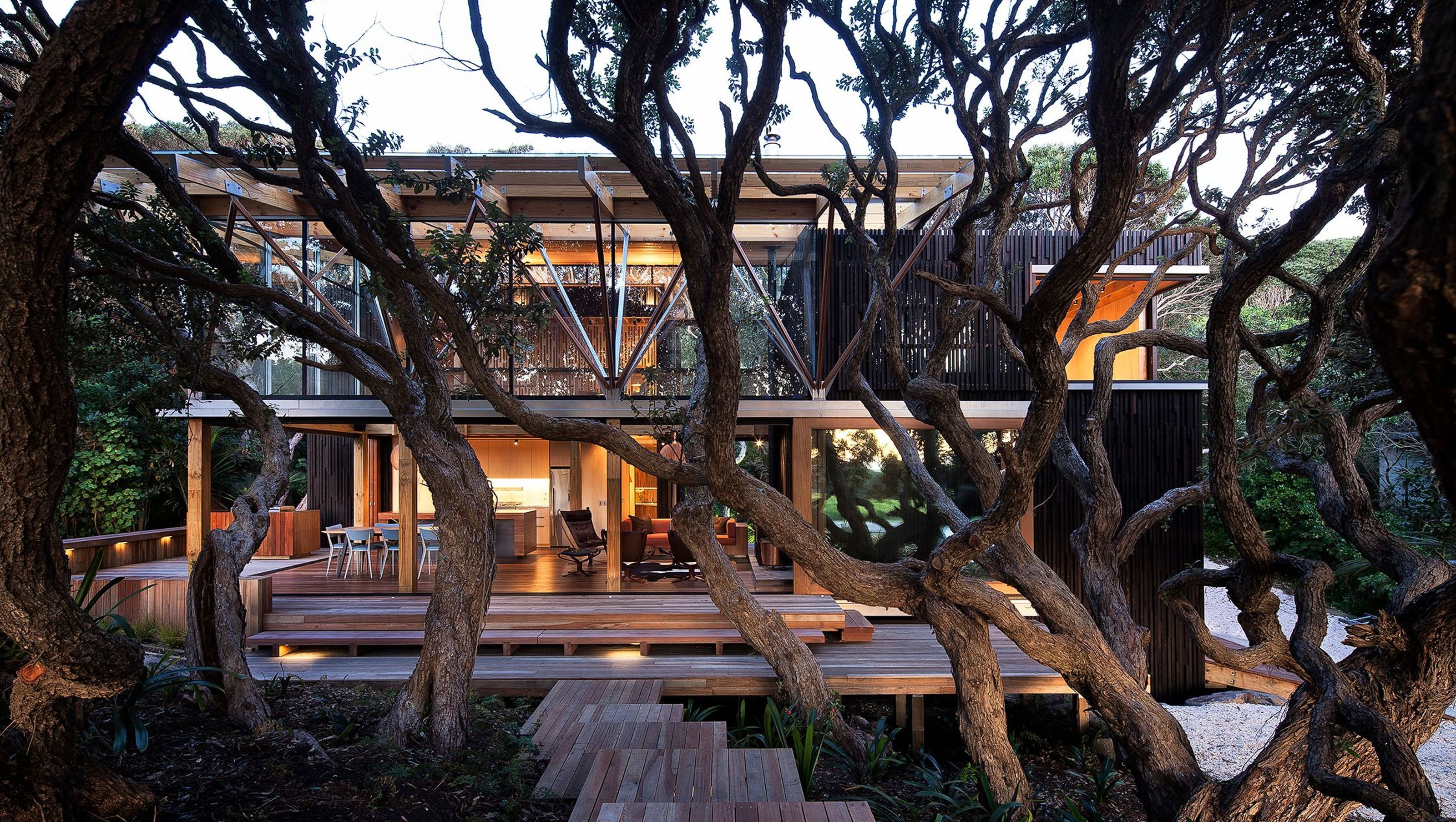 Under Pohutukawa