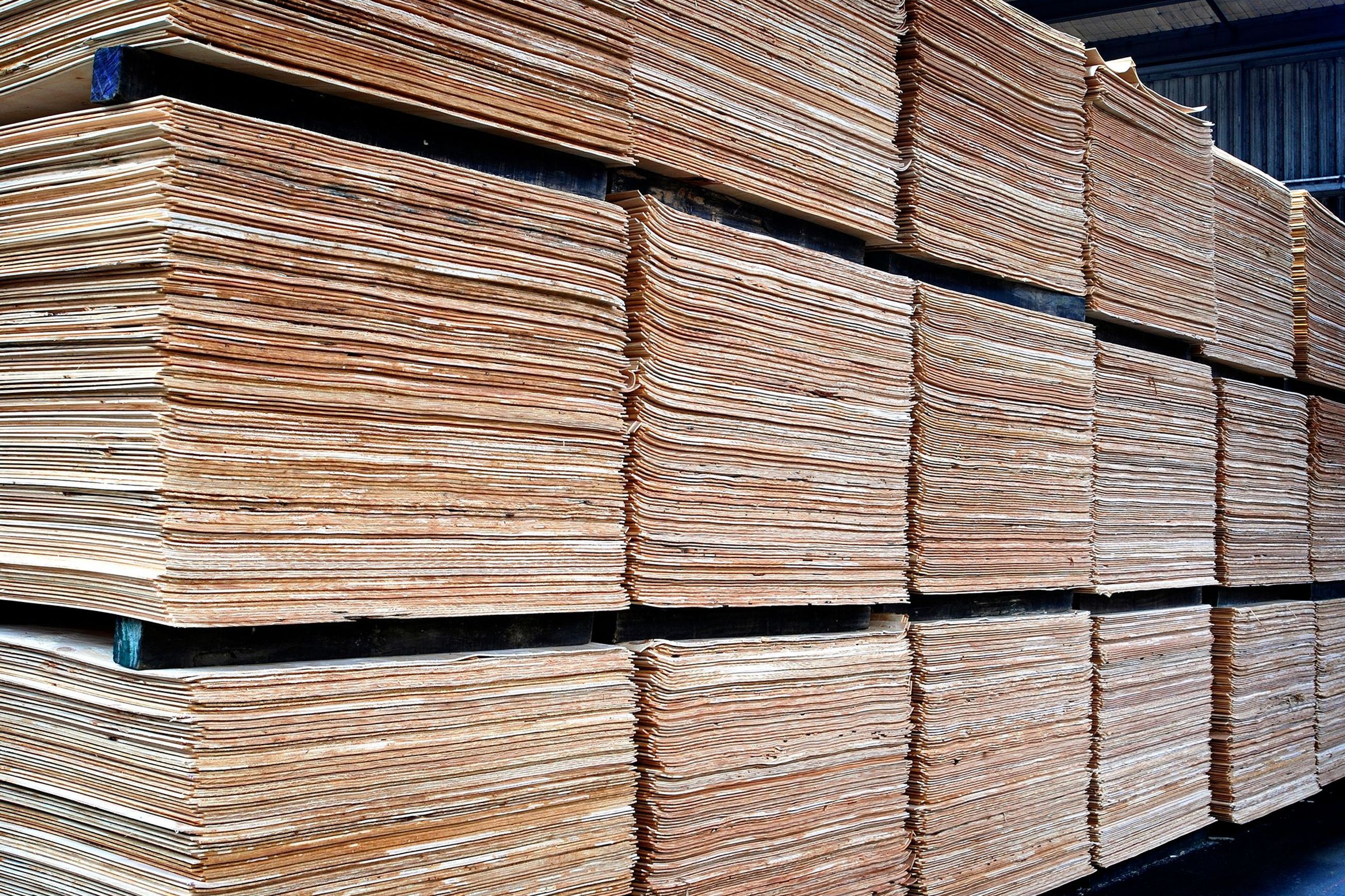 NZ Radiata Pine Veneer