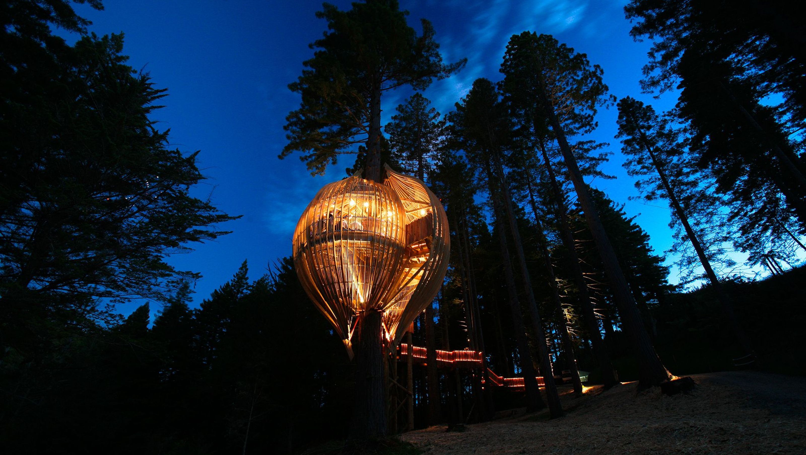 Yellow Treehouse Eatery