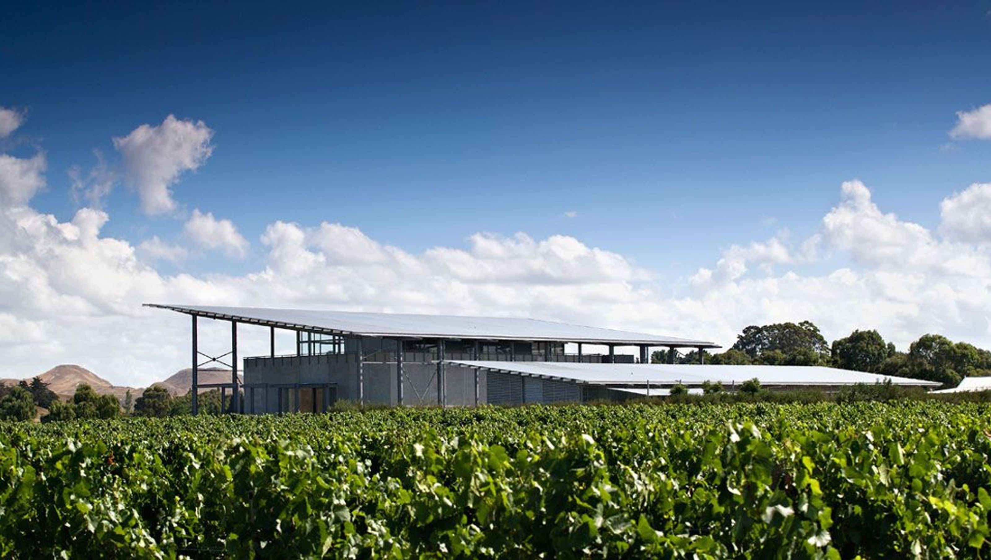 Paritua Winery