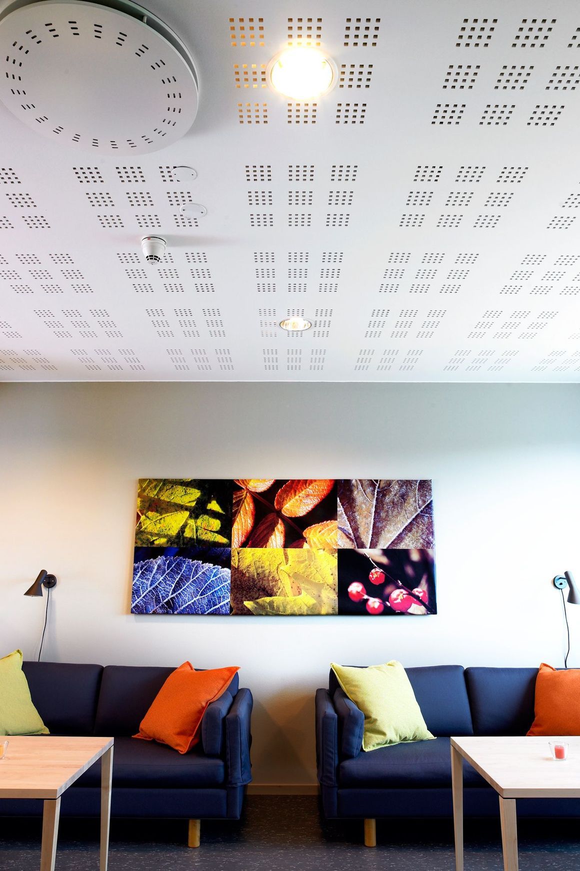 Protone 12mm Square Minigrid Perforated Plasterboard