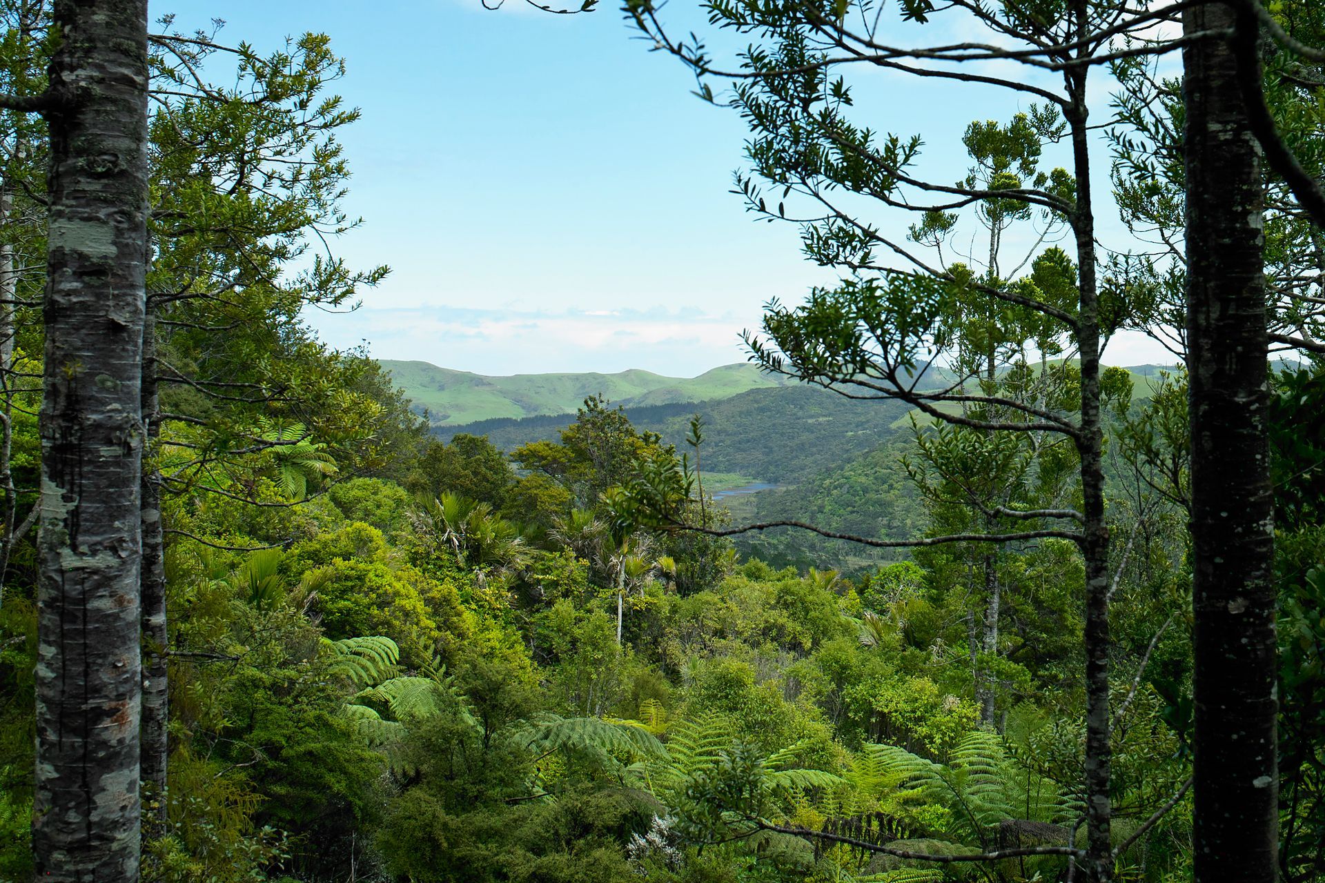 Te Aute Ridge House