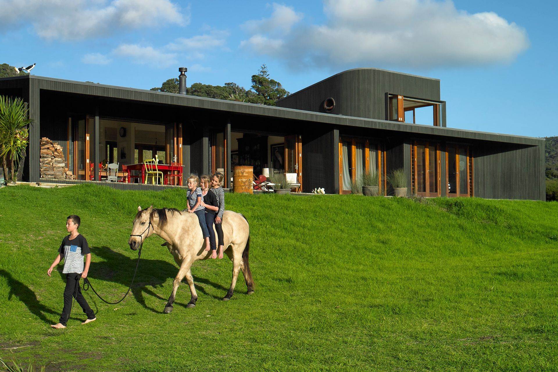Te Henga House
