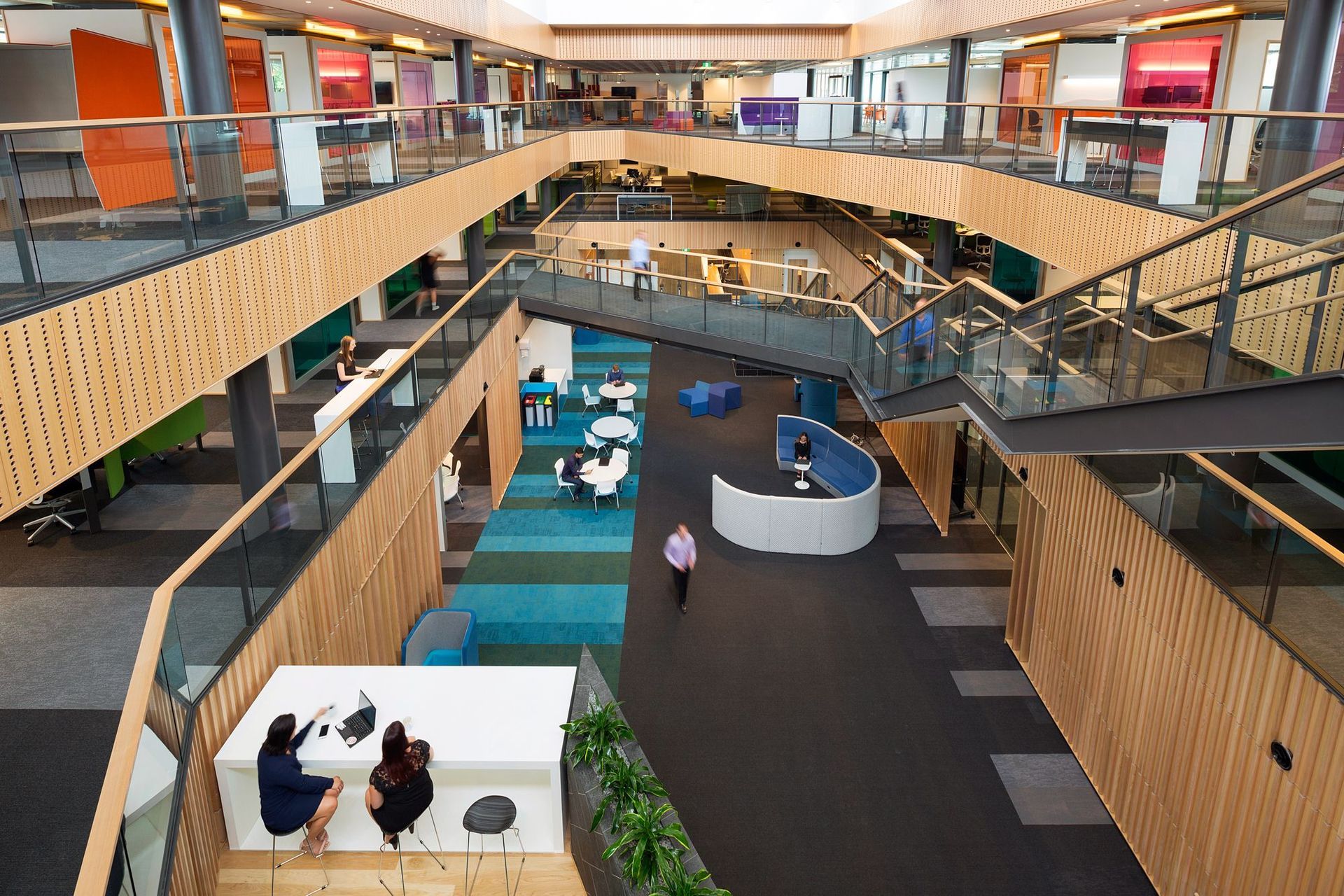 Trustpower Tauranga