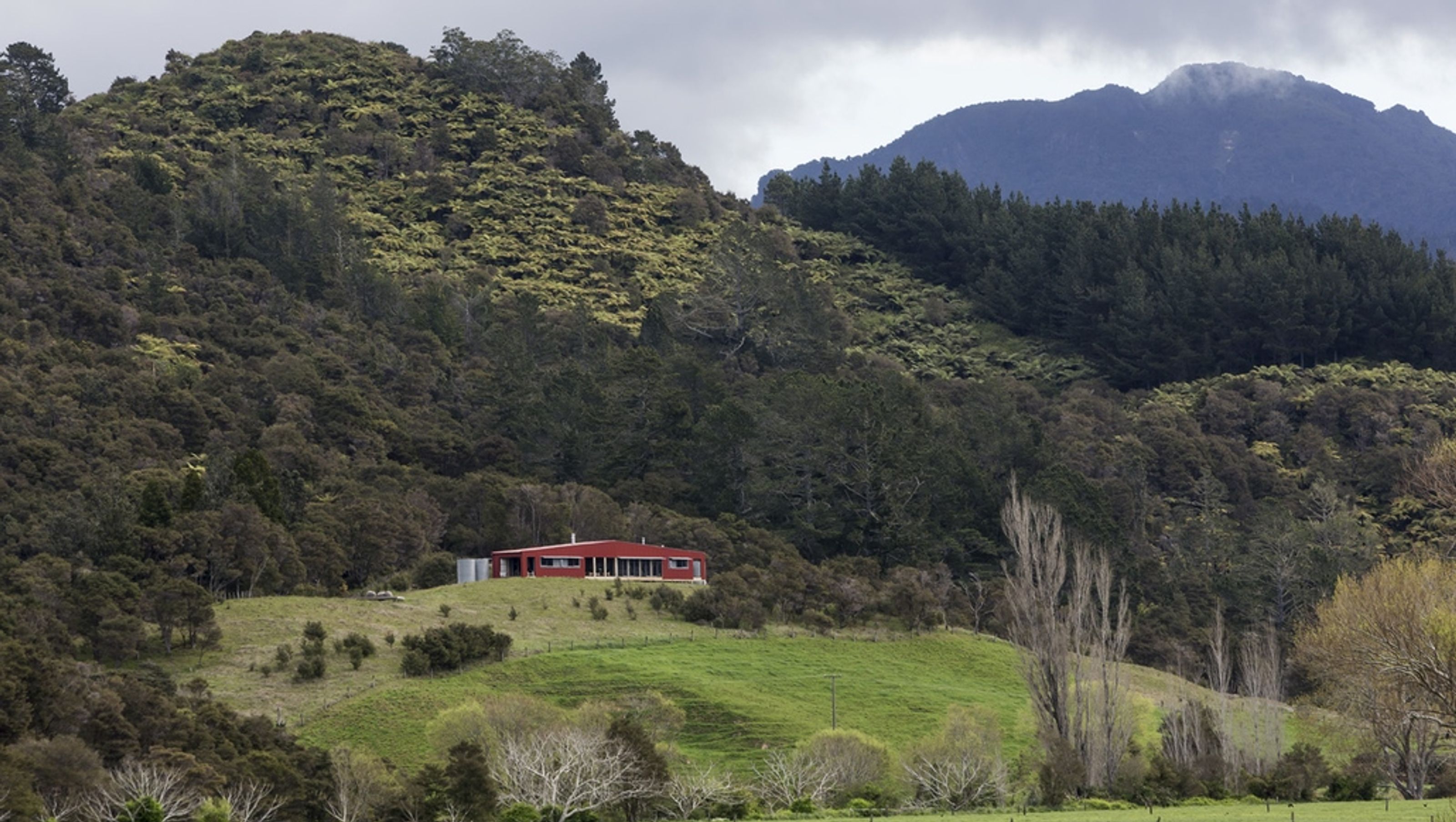 Puketui Valley House