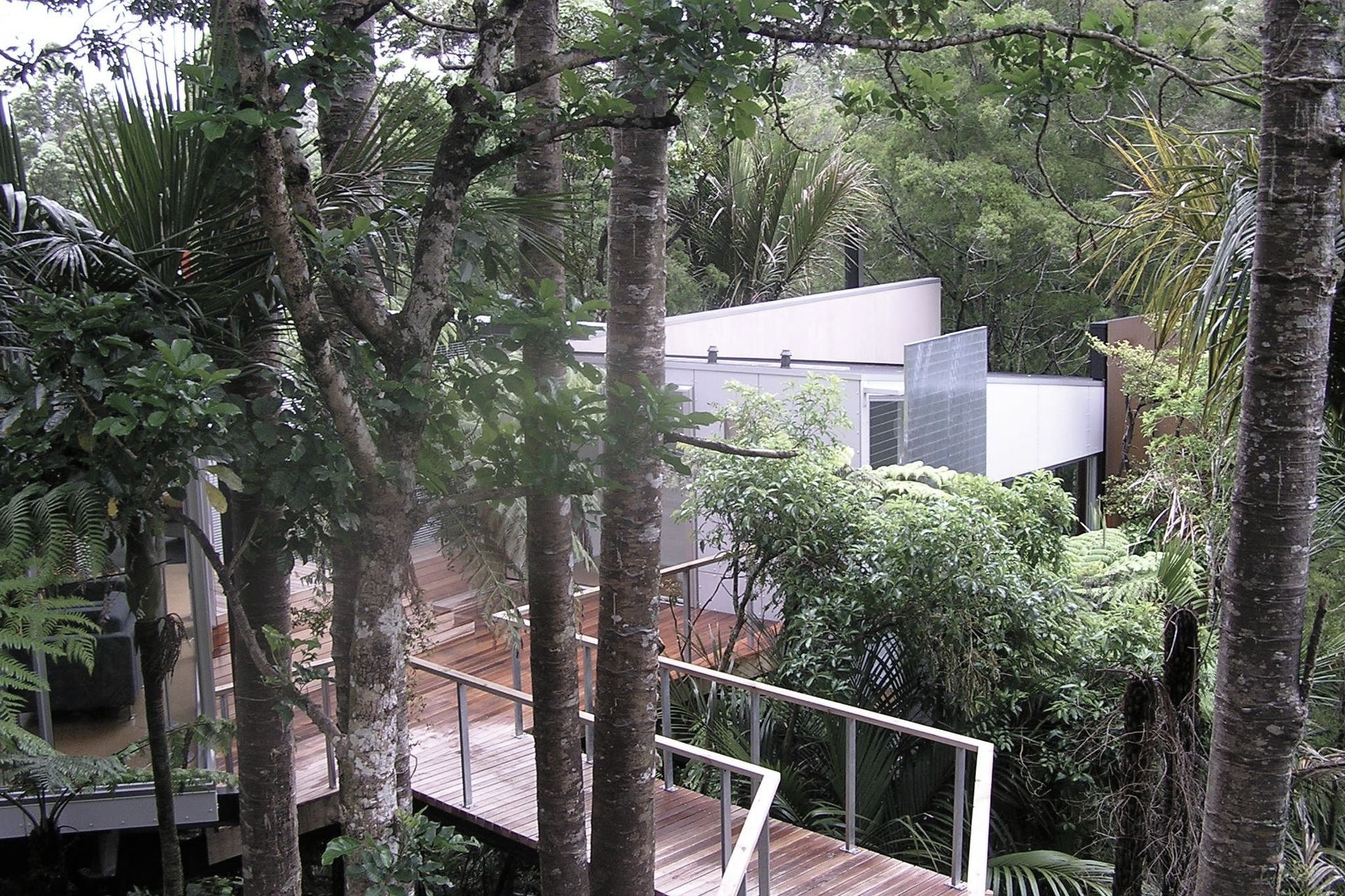 McCahon Artists