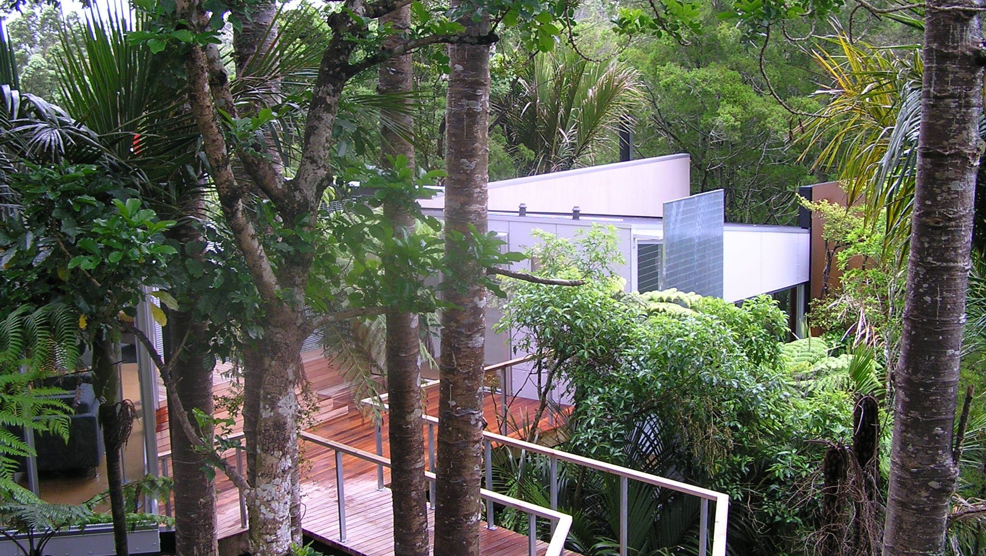 McCahon Artists