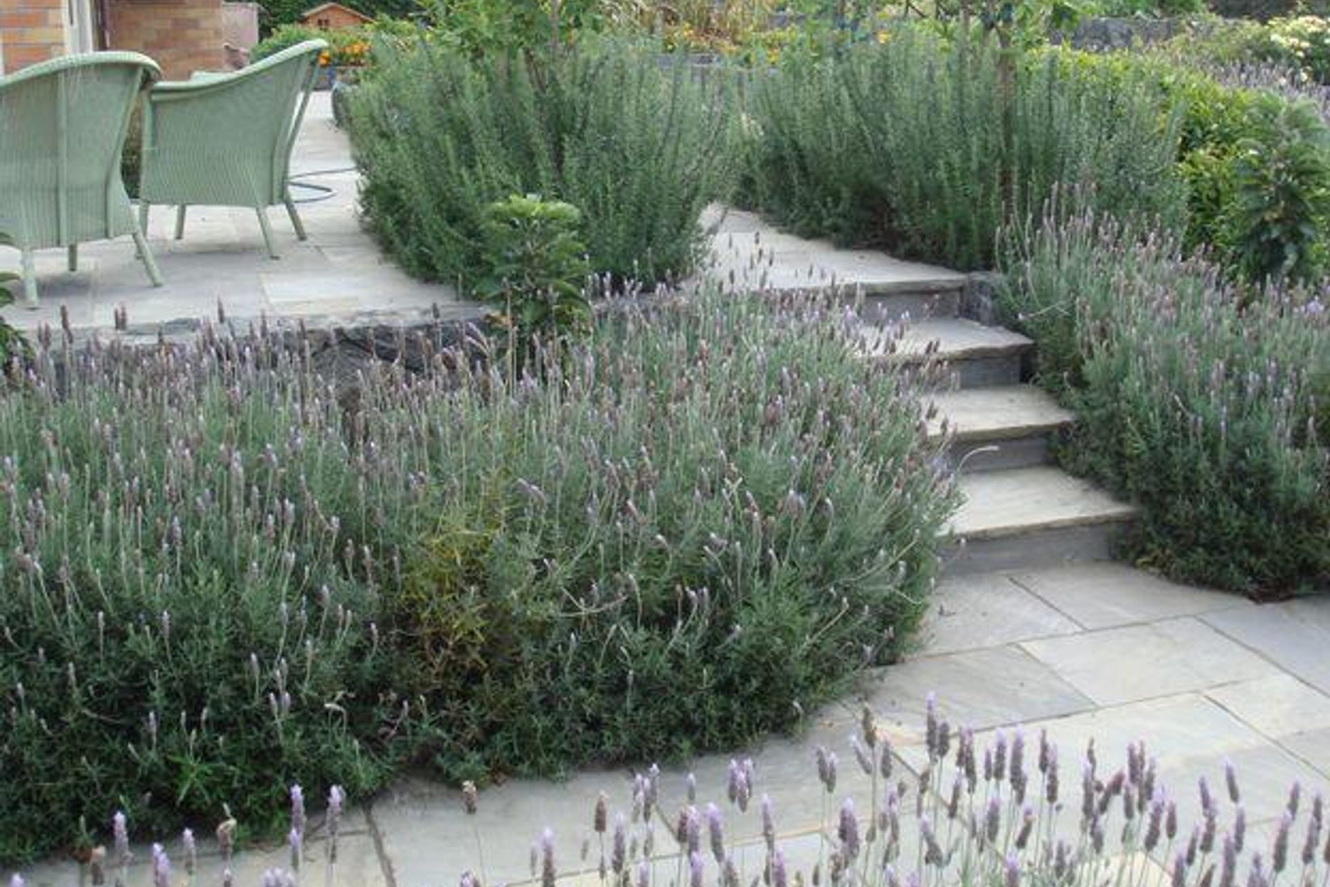 Plantings