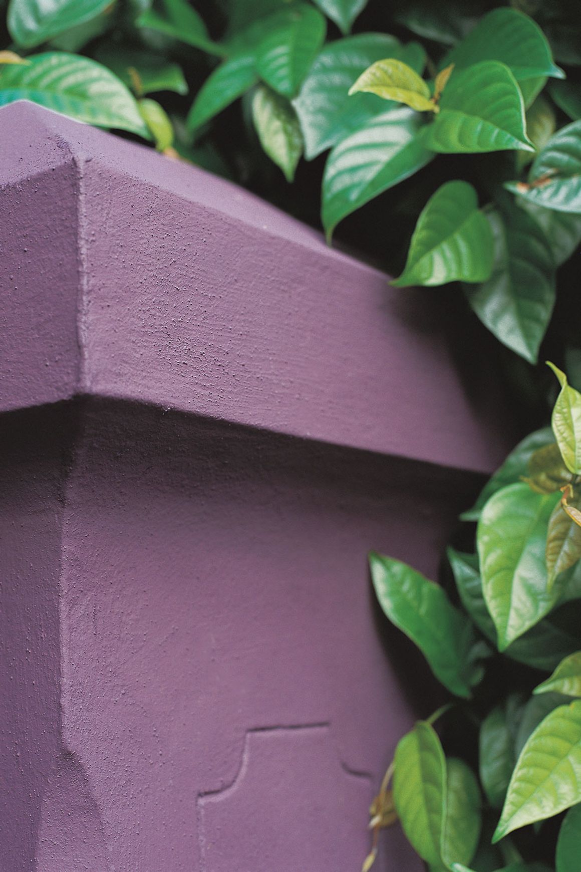 Stone Paint Coarse