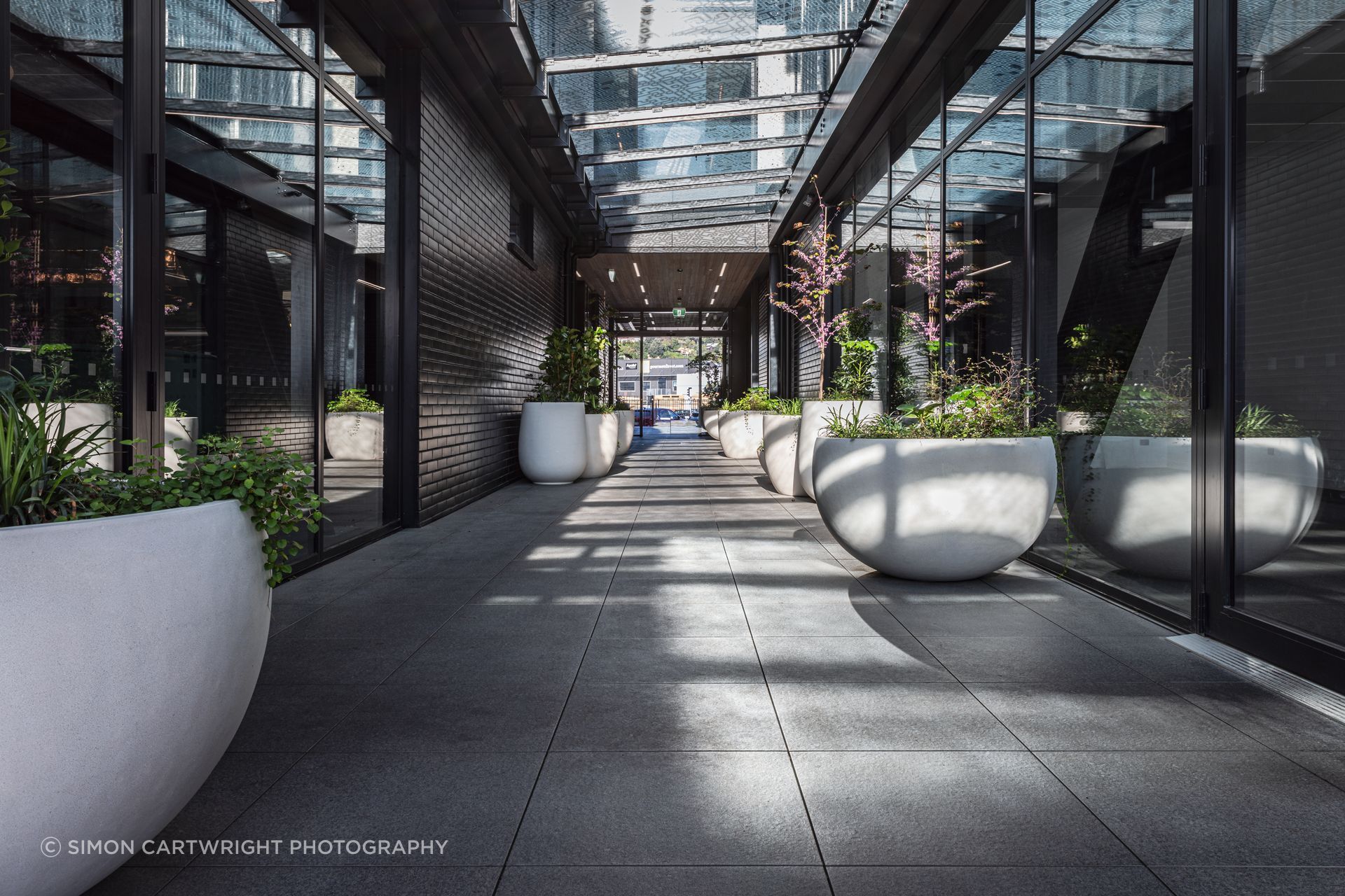 CP28018-Edit.jpg