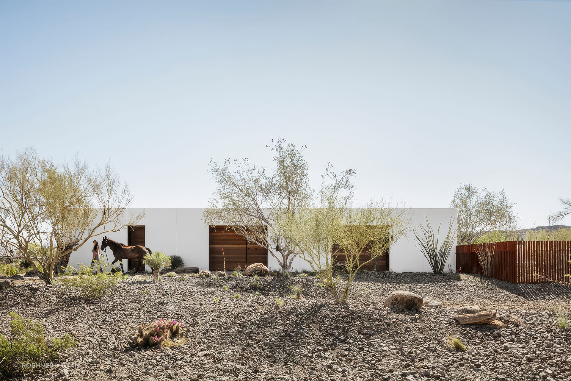 The exterior of The Ranch Mine's O-asis pairs low-maintenance white stucco with recessed wood niches that filter light, while the strong horizontal form emphasizes the desert setting. Rusted steel rattlesnake fencing and the courtyard geometry create protected zones for the dogs.