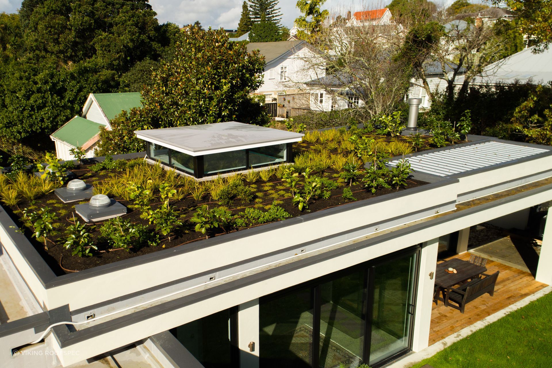 The Viking Roof Garden system drastically transformed this extension's roof and the home's overall aesthetic.