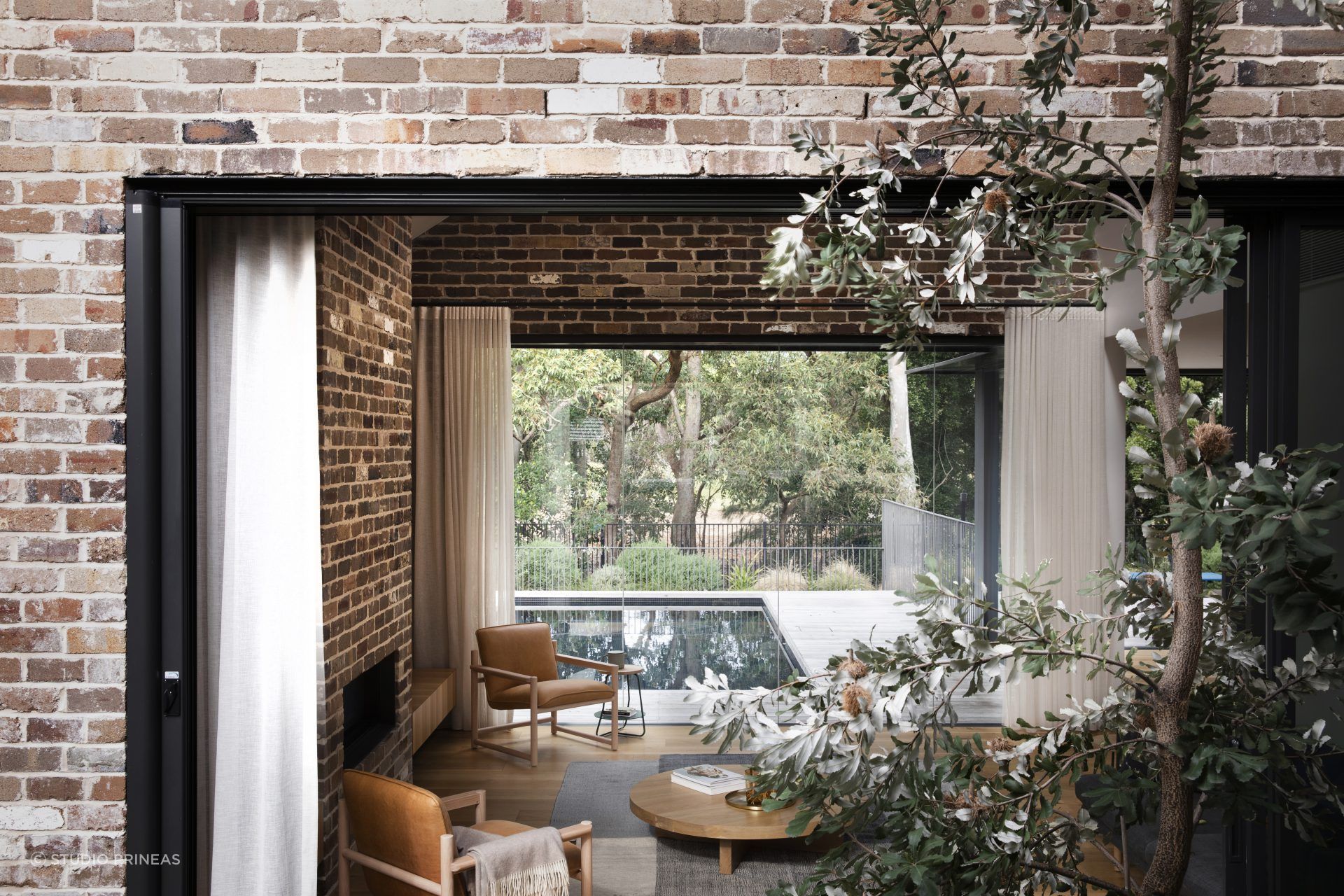 Indoor outdoor flow with some stunning Australian natives to enjoy - Photography: Chris Warnes