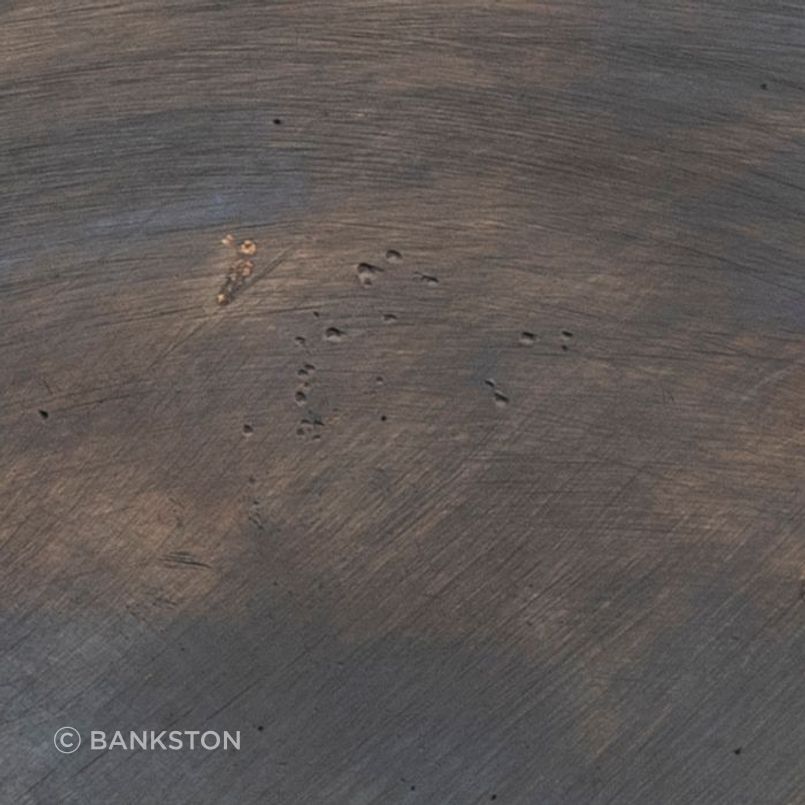Patinated Bronze