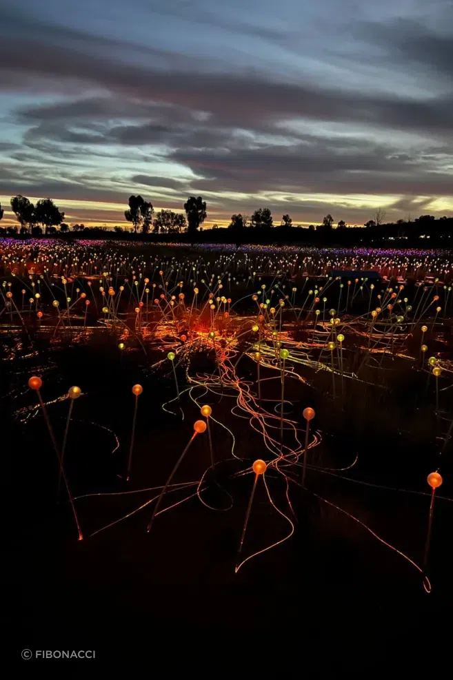 FibonacciUluruFieldofLights5.webp