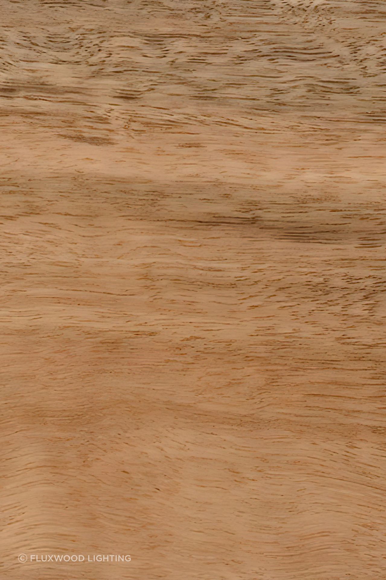 Spotted Gum (Corymbia Maculata, Corymbia Citrodora, Eucalyptus Henryi)