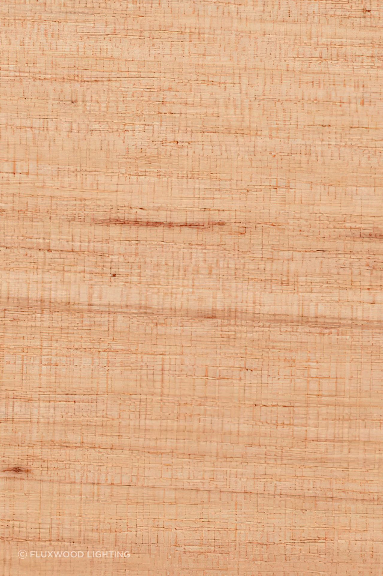 Victorian Ash (Eucalyptus Regnans)