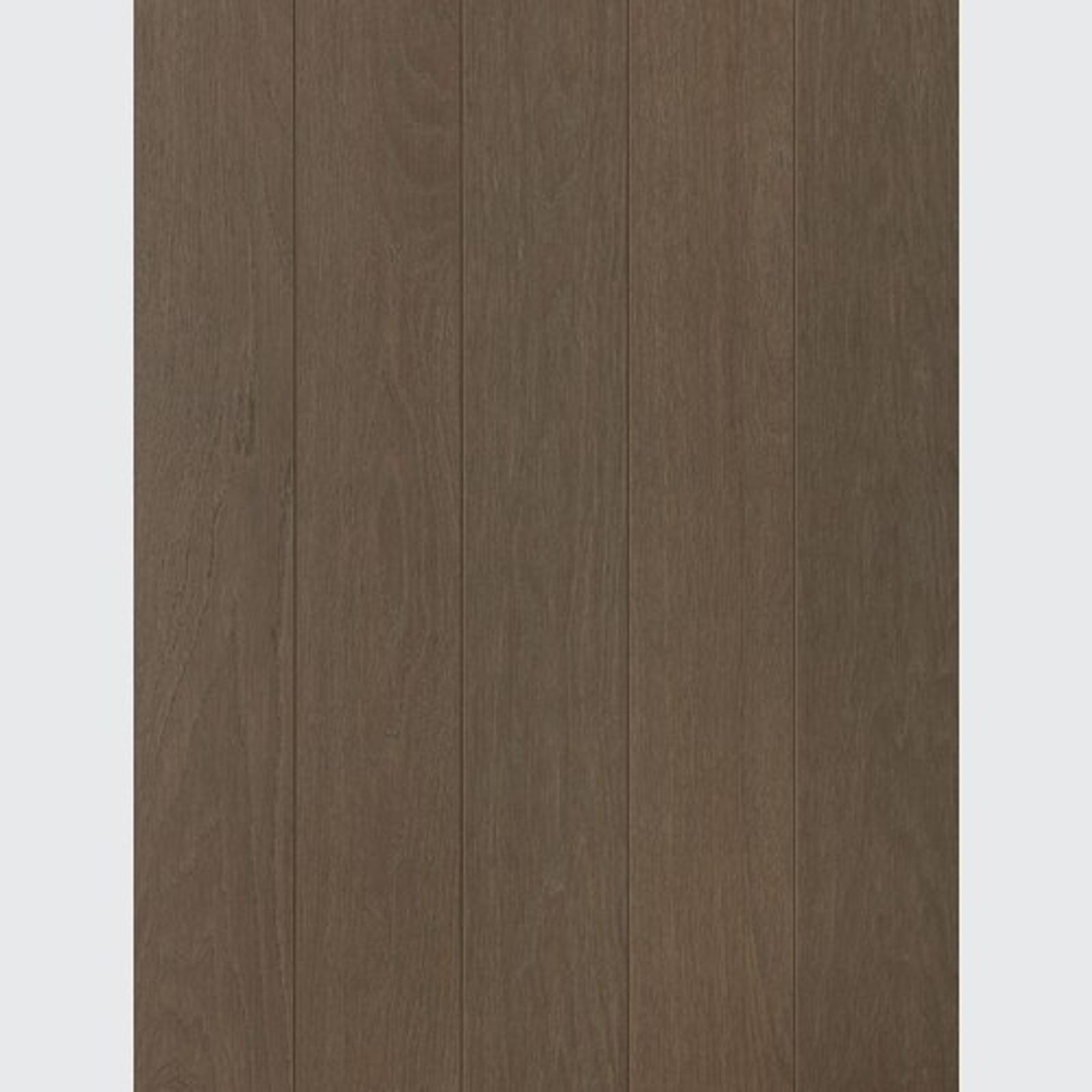 productimage-vd33971bec9.jpg