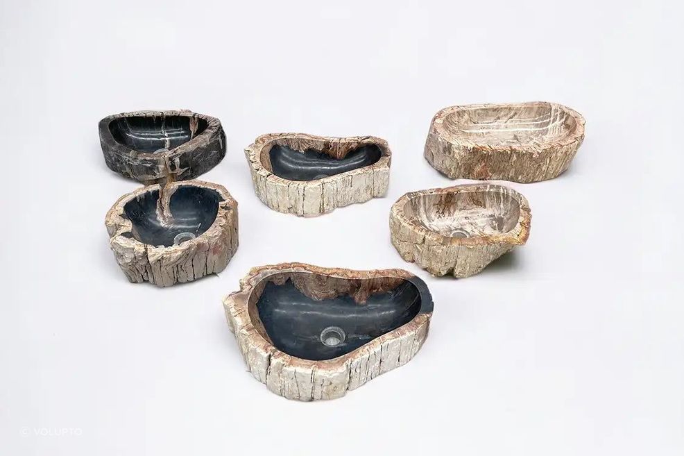 Petrified Wood Basins
By Volupto