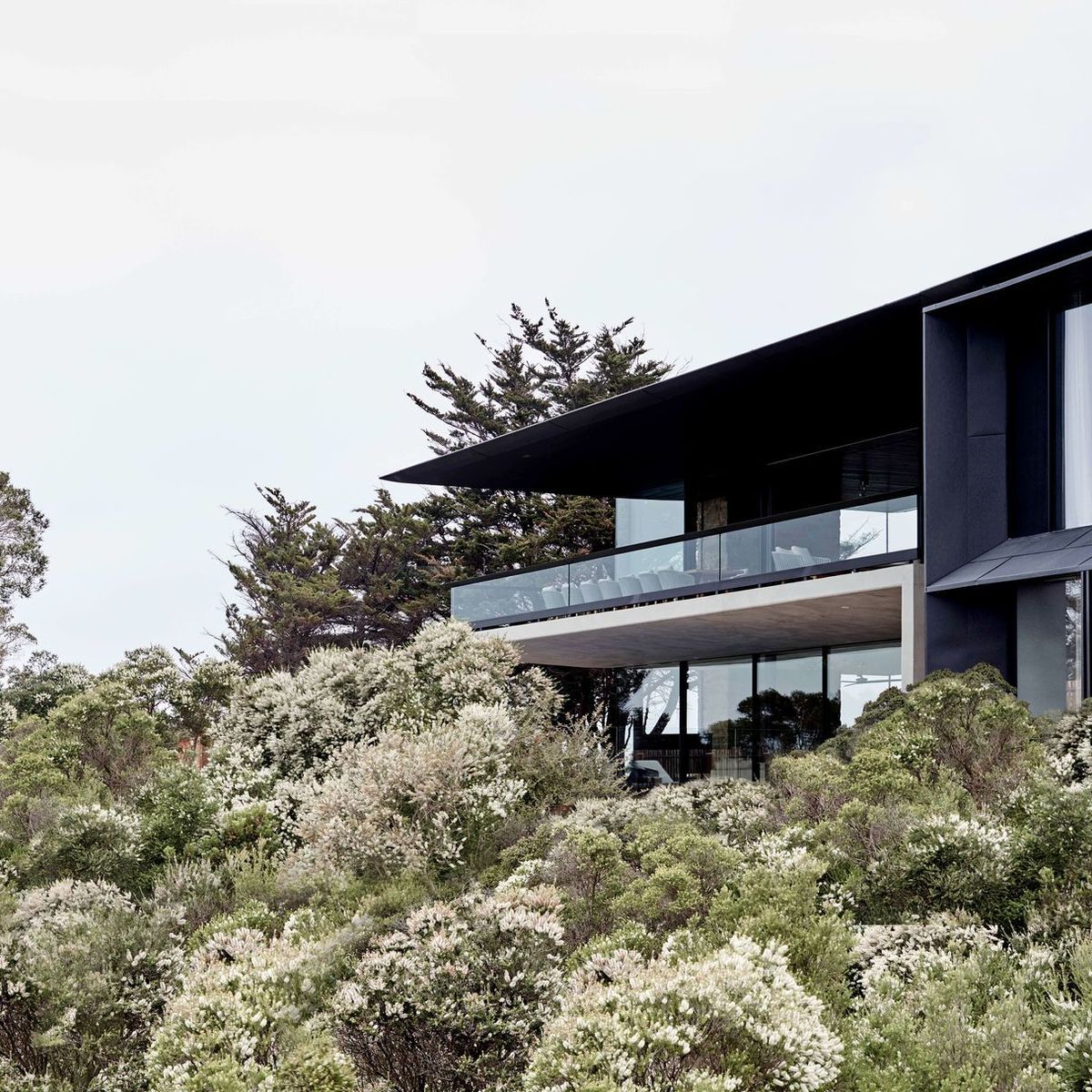 The Australian homes asking more of architecture