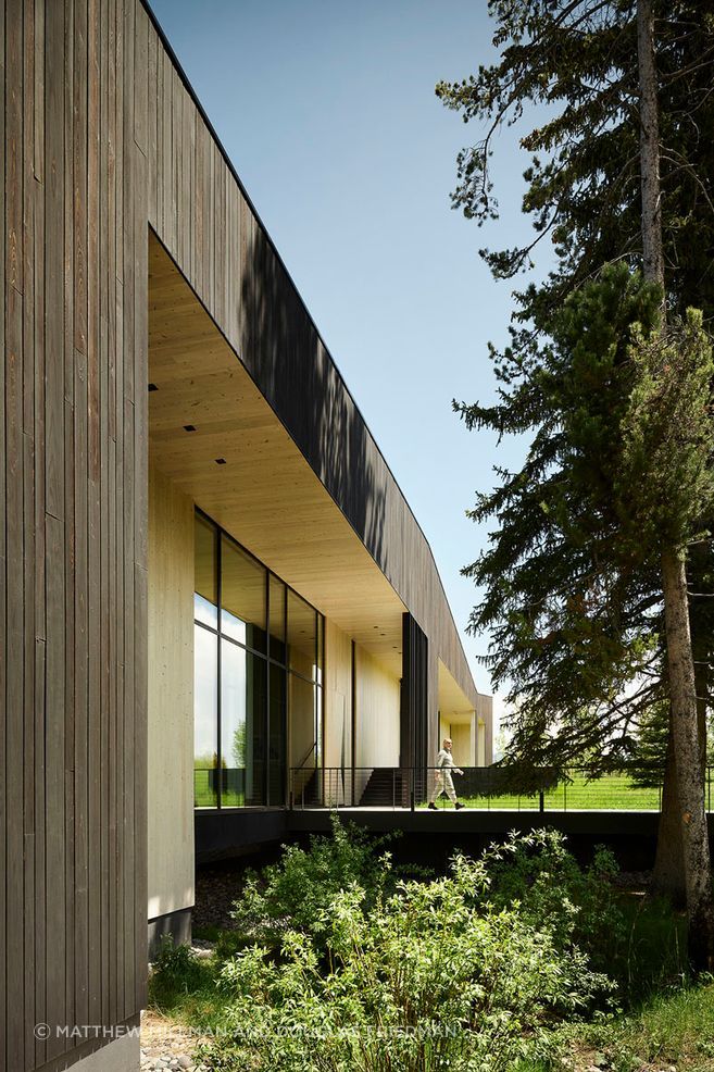 Rectilinear in plan, ShineMaker's main house appears to grab surrounding trees as anchors, sinking in the center, and pulling upward toward the sky at the corners. Working in concert with the landscape, this dynamic quality is carried through the building’s charred shou sugi ban exterior, tugged and carved to create overhangs and openings. The entrance to the home is located where the structure reaches out over a lowland creek, the relationship revealed by a moment of transparency in the floor.