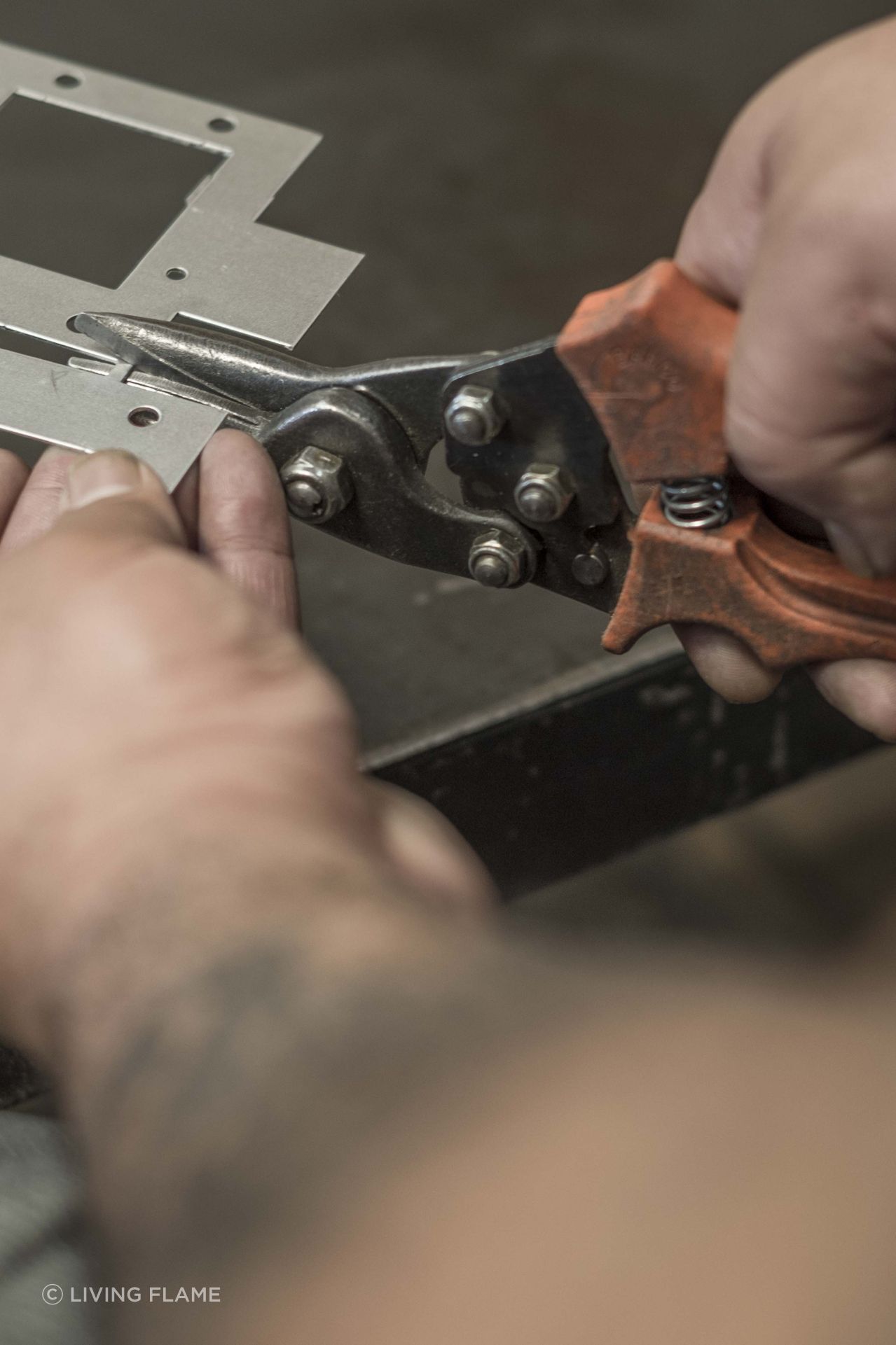 DSF7839.jpg